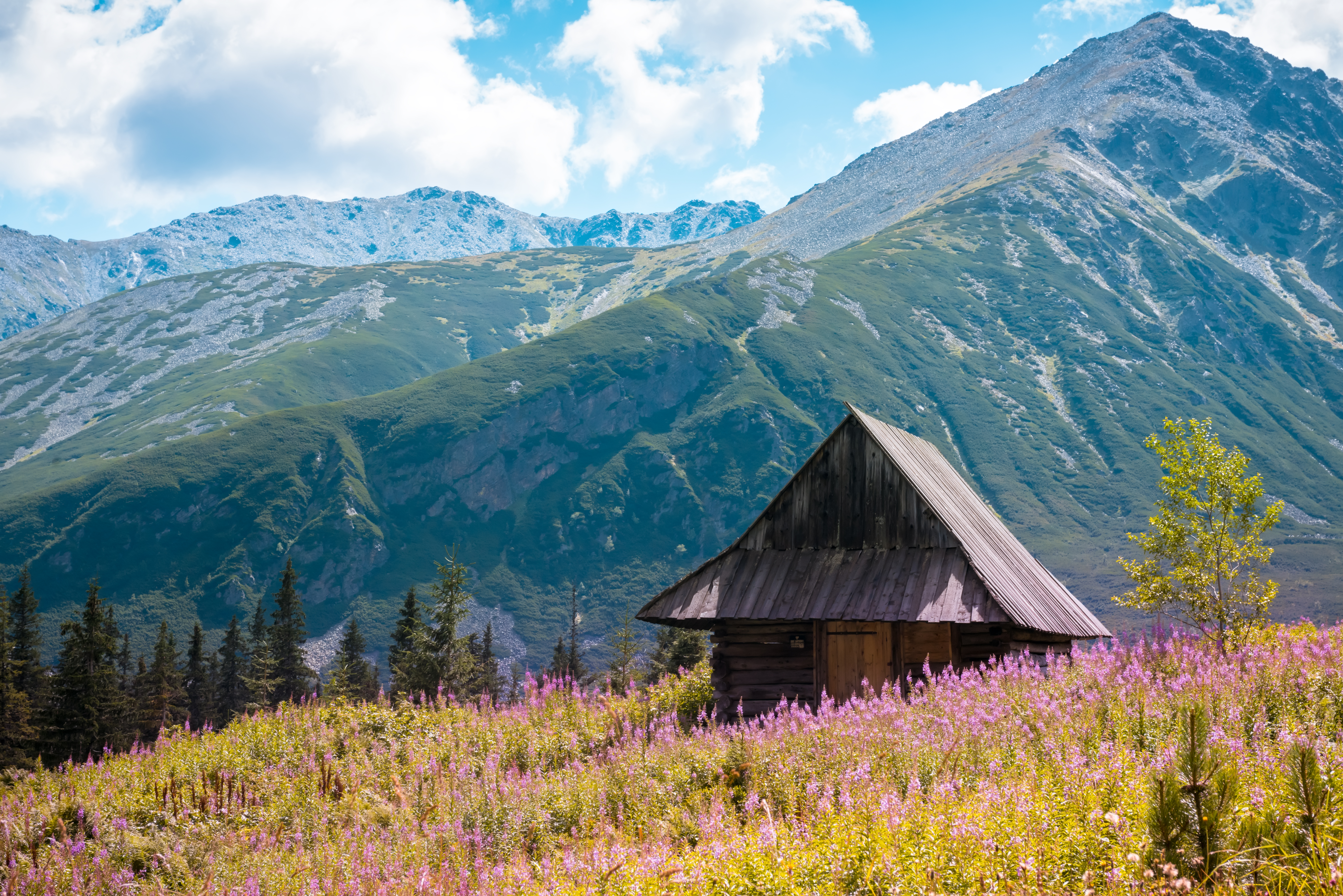 A wooden mountain cabin in the Balkans sits among wildflowers with snow-streaked peaks behind