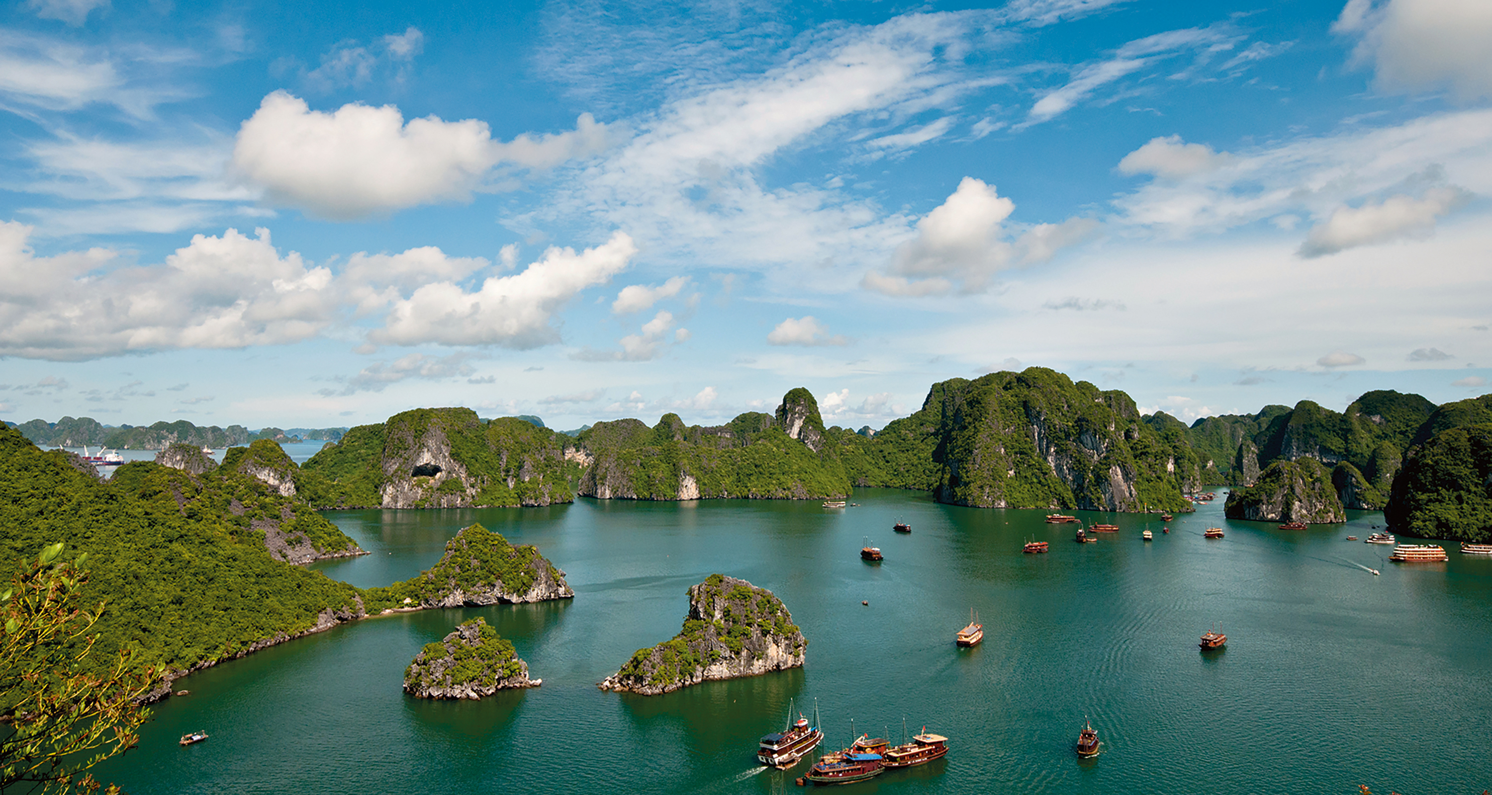 Teen travel programs in Vietnam