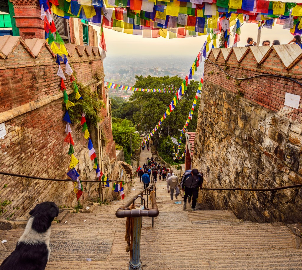 Prayer flags stretch above a stone stairway descending past a temple wall with a dog seated on the steps