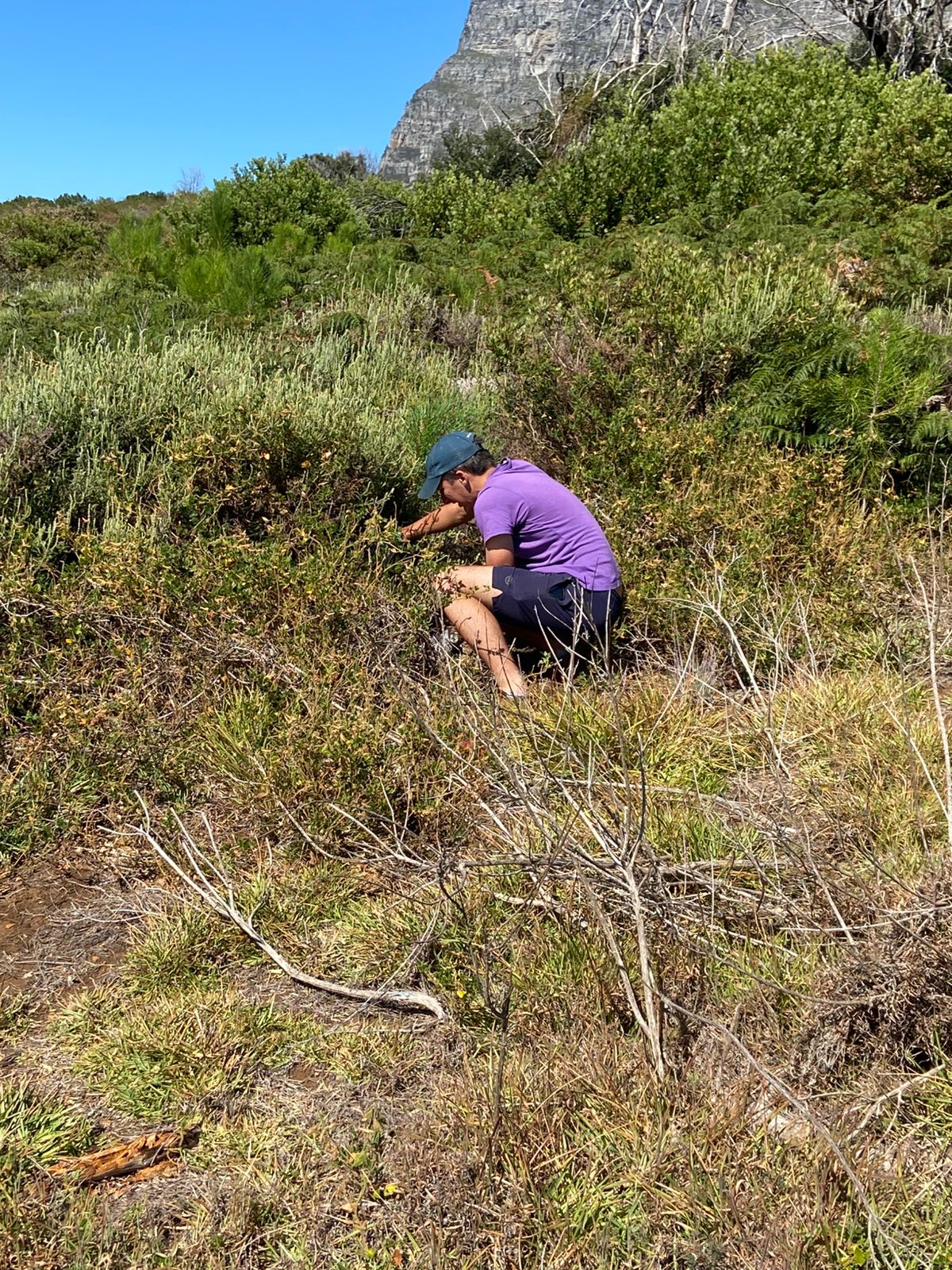 Imanam Maqwazima - A Teen Climate Leader Protecting Cape Town&rsquo;s Fynbos Biodiversity - Image 2