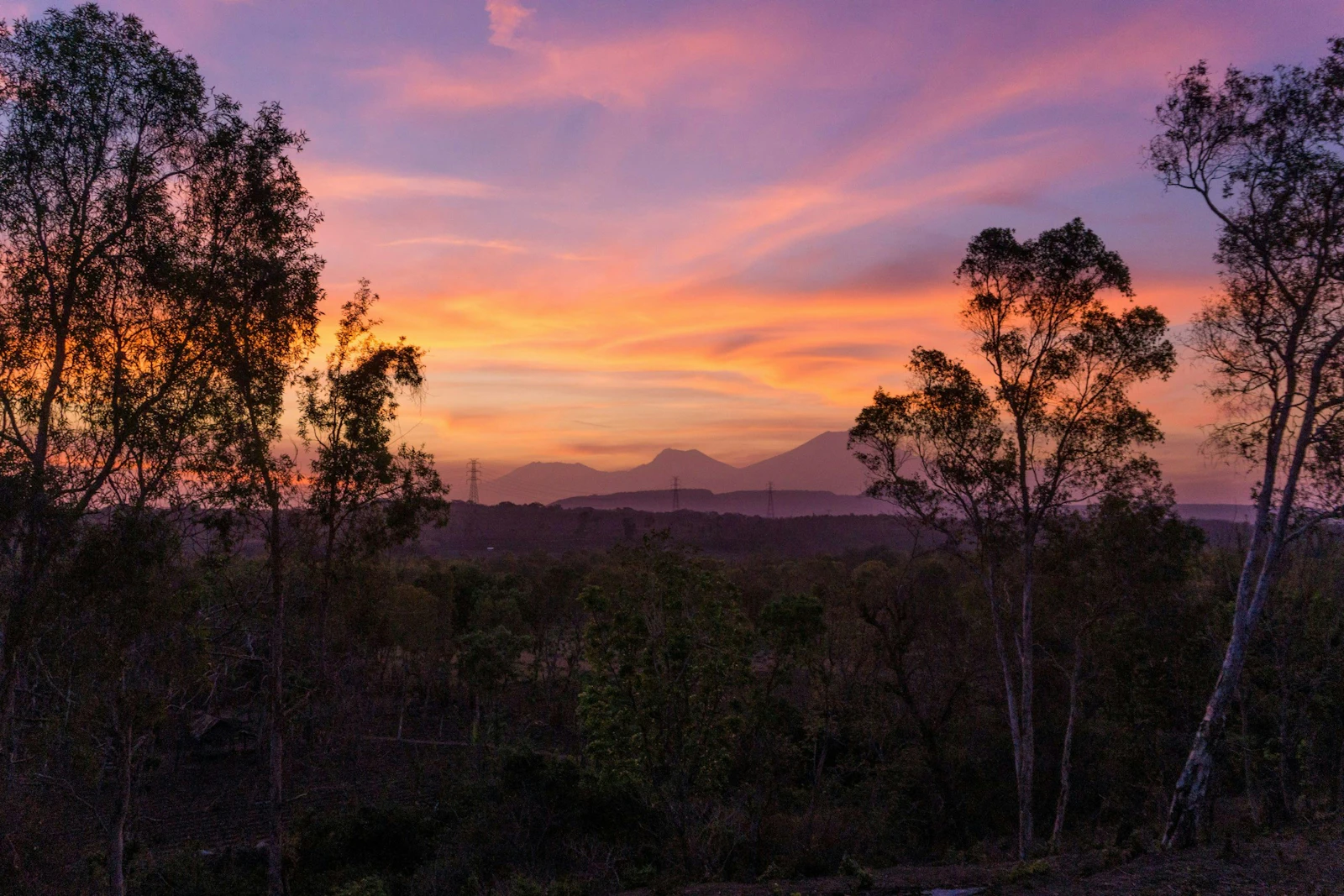 An orange and pink sunset sky glows behind silhouetted trees above a dark valley in Bali
