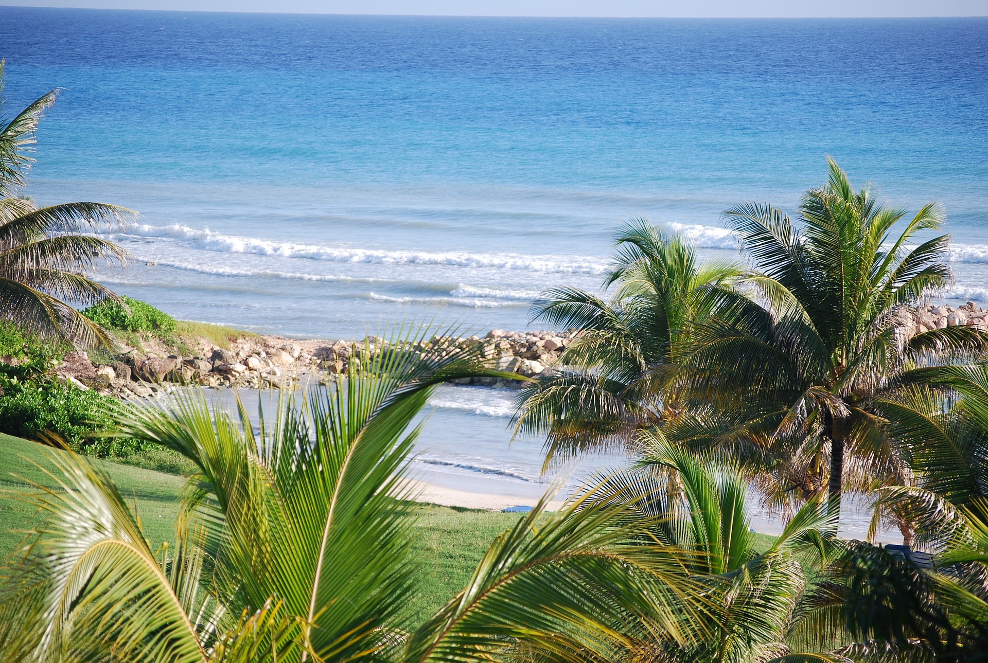 Vibrant blue ocean with gentle waves and palm trees in the foreground in Jamaica.