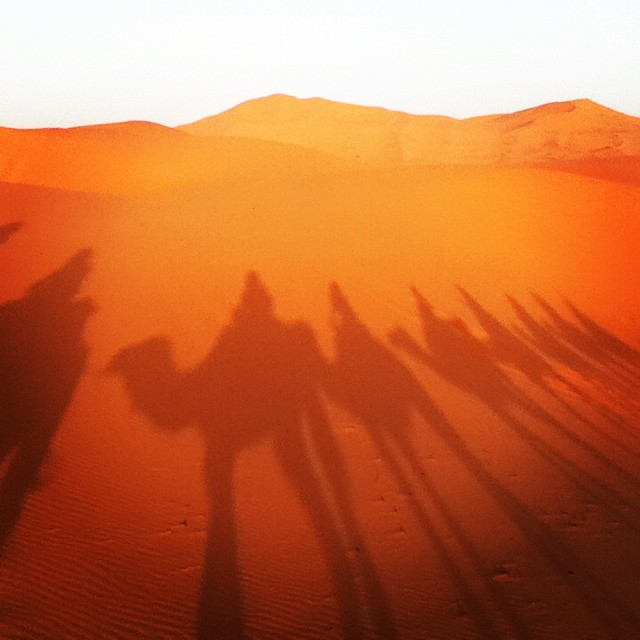 Rustic crew member Julie Ball celebrated on the back of a camel from the Sahara.