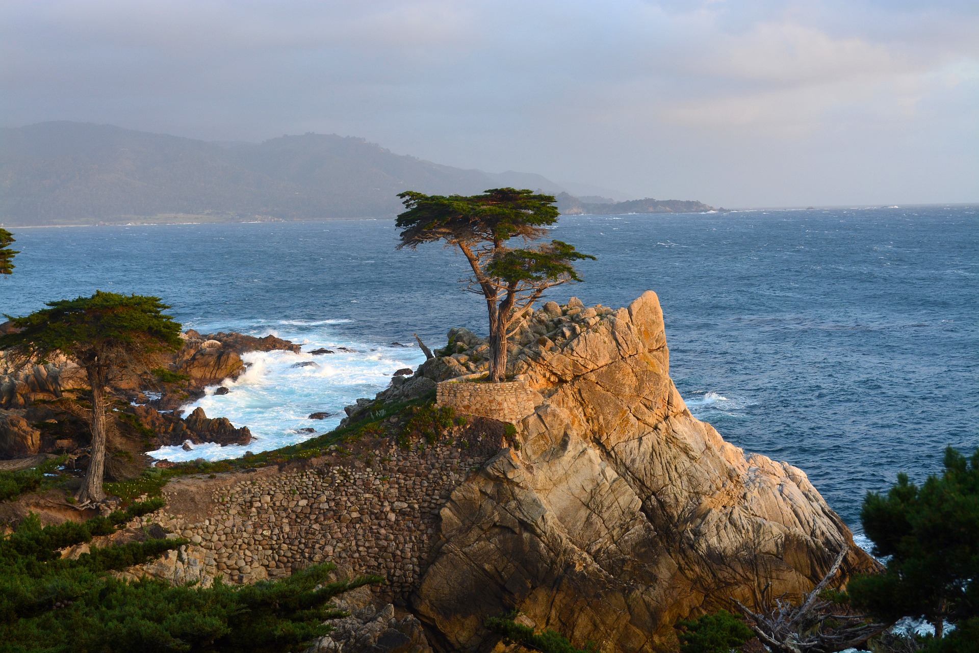 A lone cypress tree stands atop a rocky outcrop along the rugged coastline