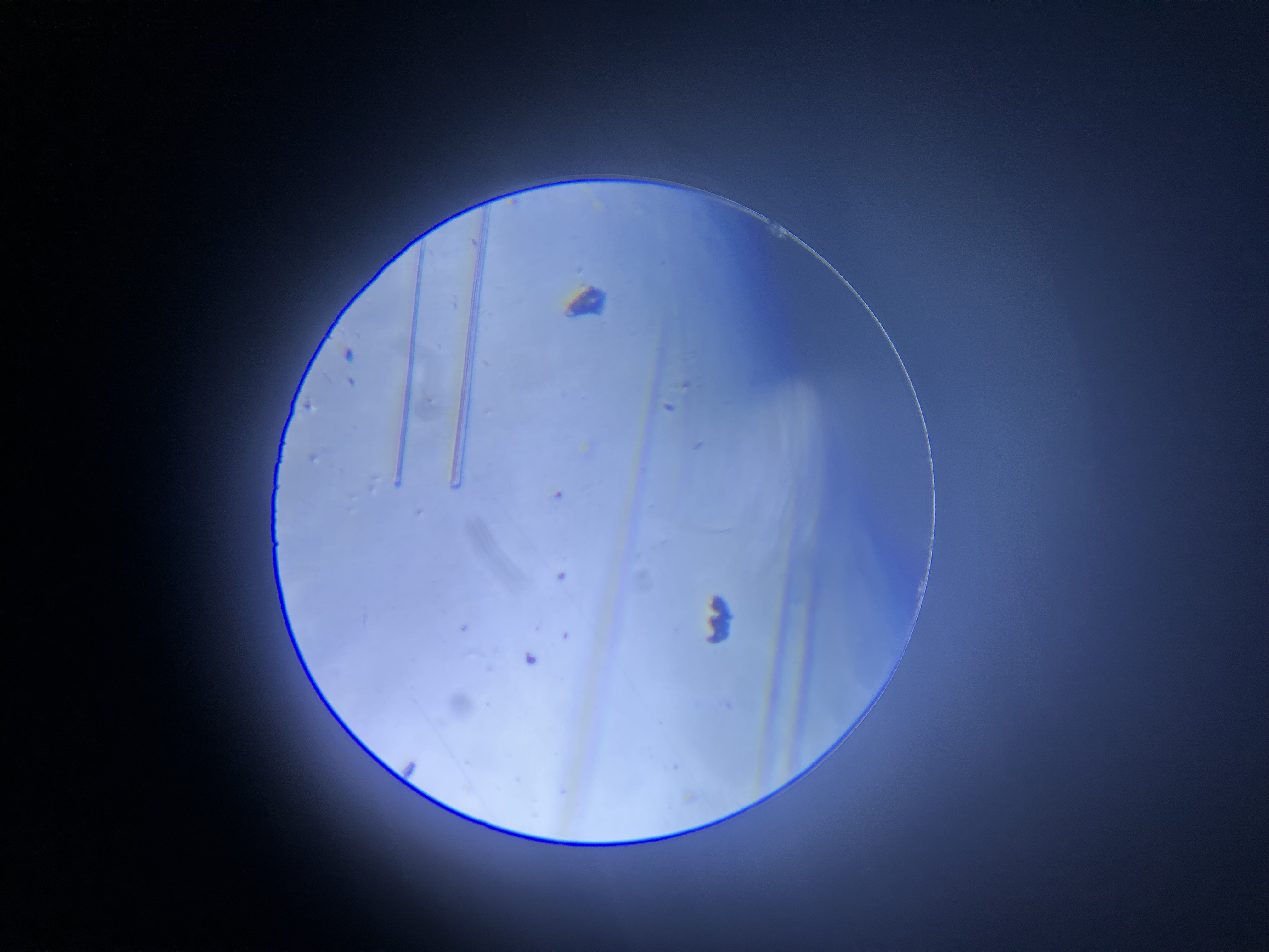 Andrea "Loren" Mannoia - Next Wave: Teens Fighting Plastic Pollution in NYC Waterways - Image 2