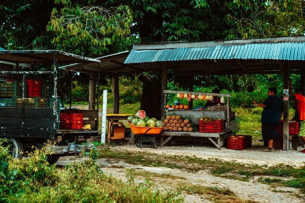 Fresh fruit and produce stand with a vendor in a rural setting.