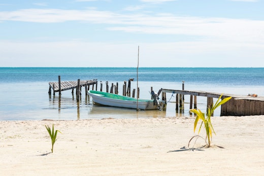 Caribbean reef and jungle scenery on a teen trip in Belize