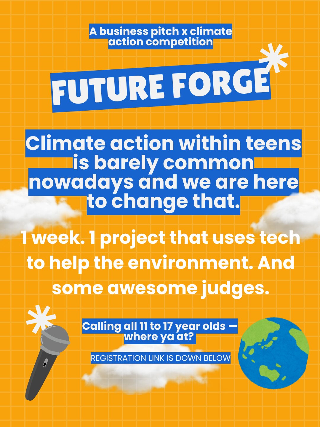Mrittika Govindaraj, How a teen hosted a virtual climate business pitch competition