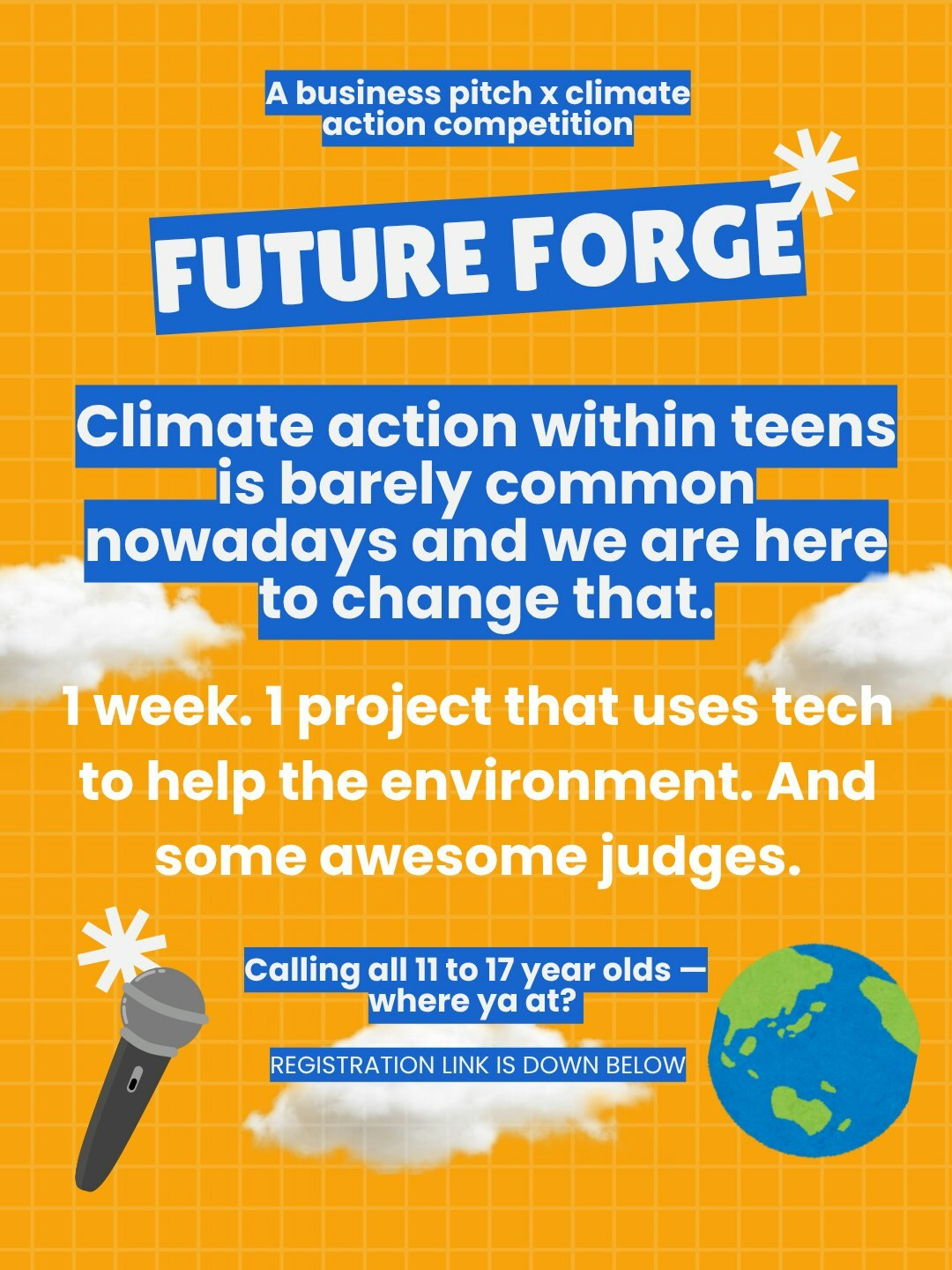 Mrittika Govindaraj, How a teen hosted a virtual climate business pitch competition