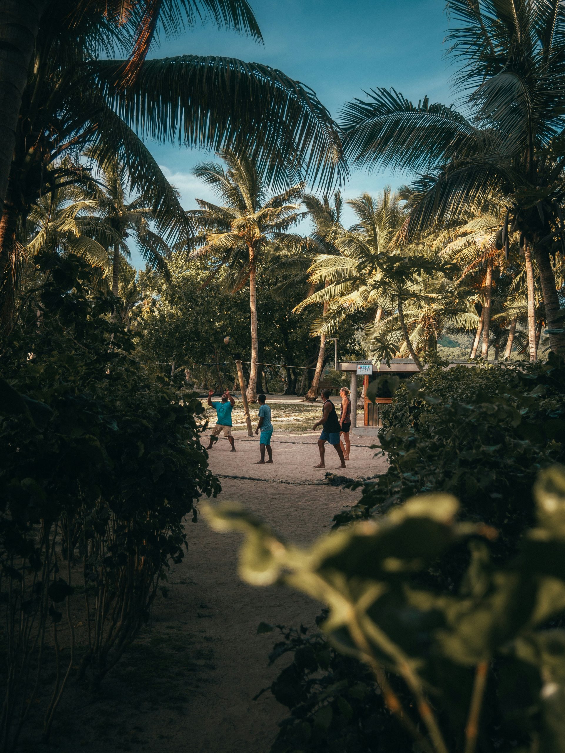 Picture of people playing volleyball in Fiji.