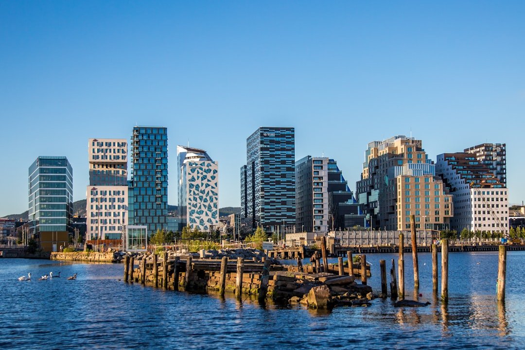 Swans glide past a row of modern waterfront towers reflected in calm blue harbor water under a clear sky.