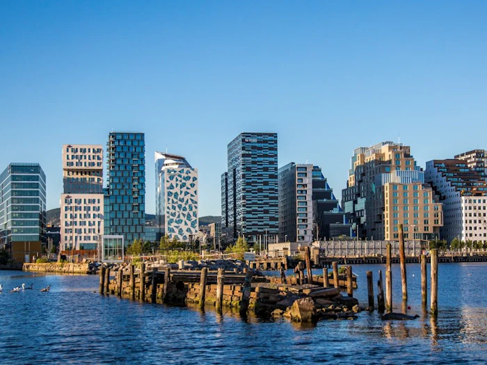Swans glide past a row of modern waterfront towers reflected in calm blue harbor water under a clear sky.
