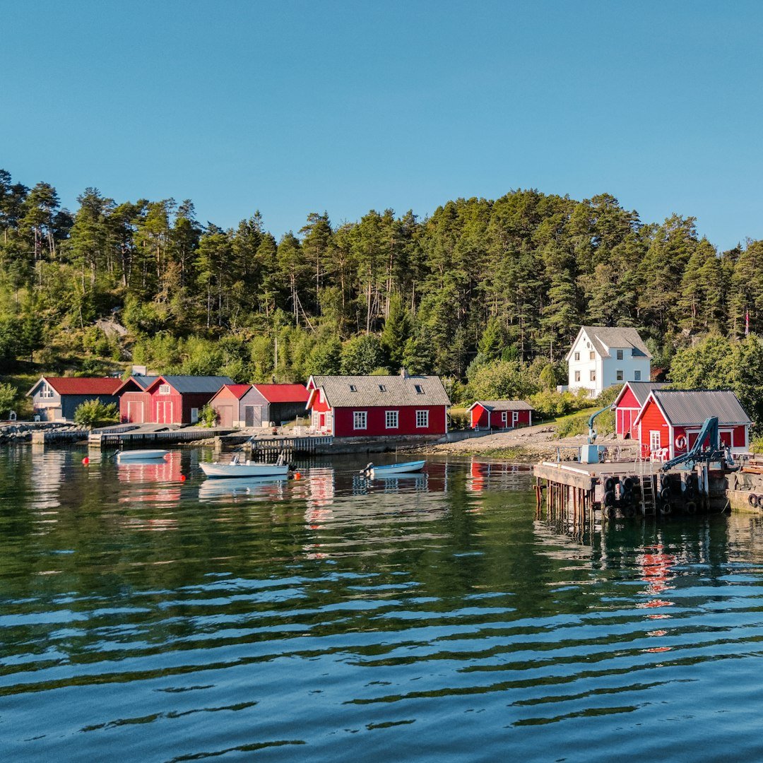 Red and white wooden boathouses sit along a calm fjord shoreline backed by dense pine forest under a clear sky.