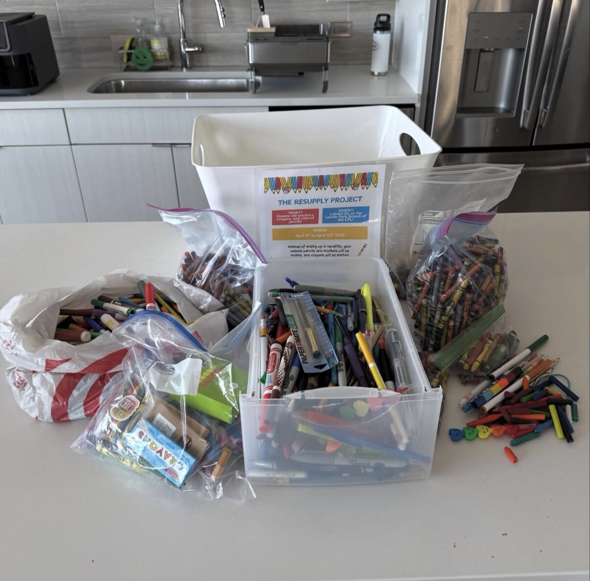 Parvathi Limaye, The ReSupply Project: Turning School Supplies Into Sustainability, image 3