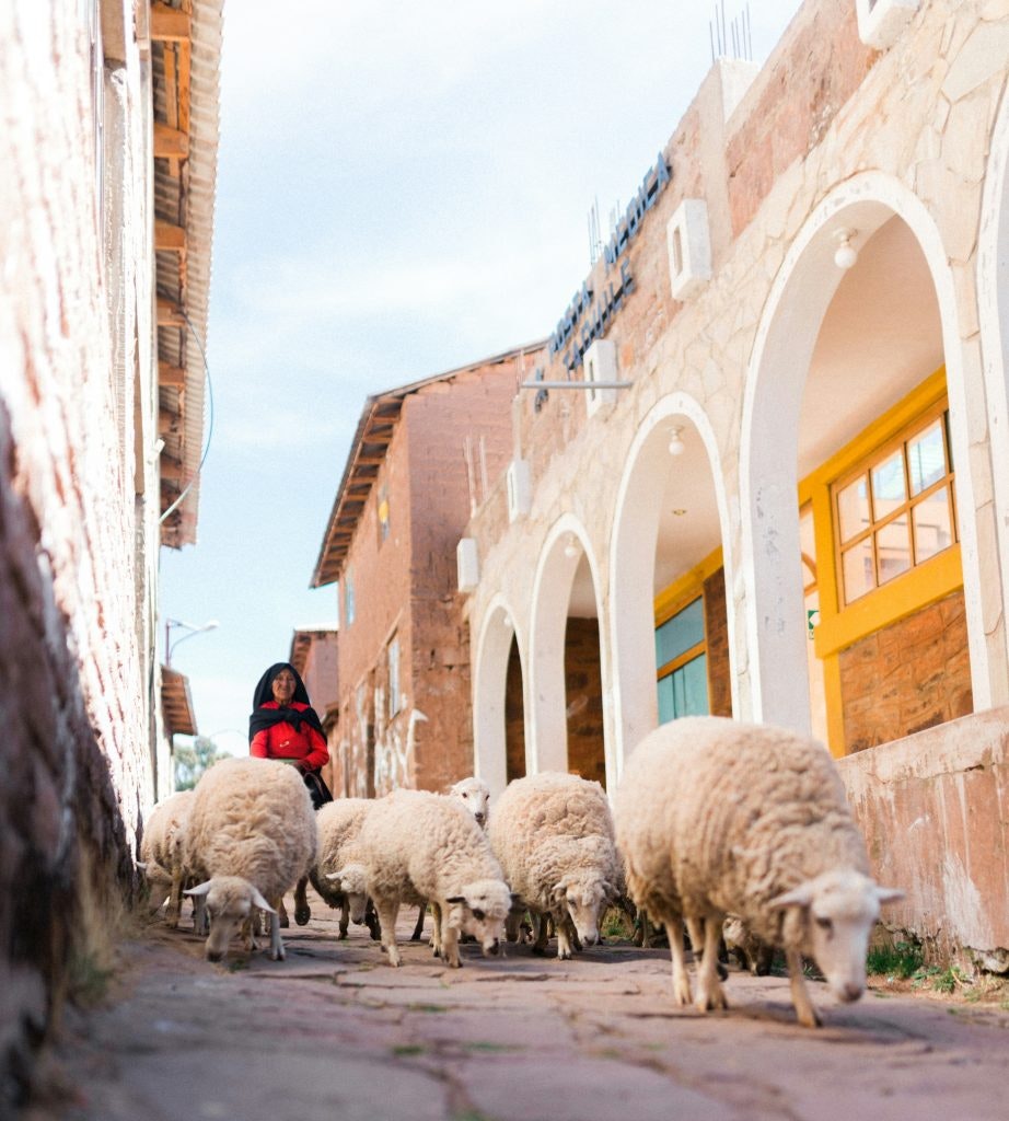 Woman herding sheep down a narrow street with arched buildings.