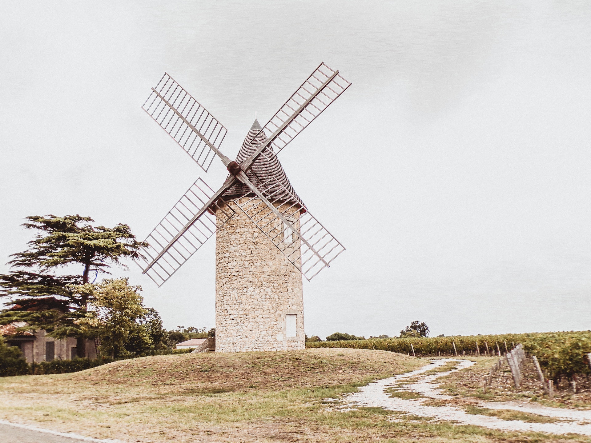 A stone windmill with wooden blades stands on a grassy hill near vineyards