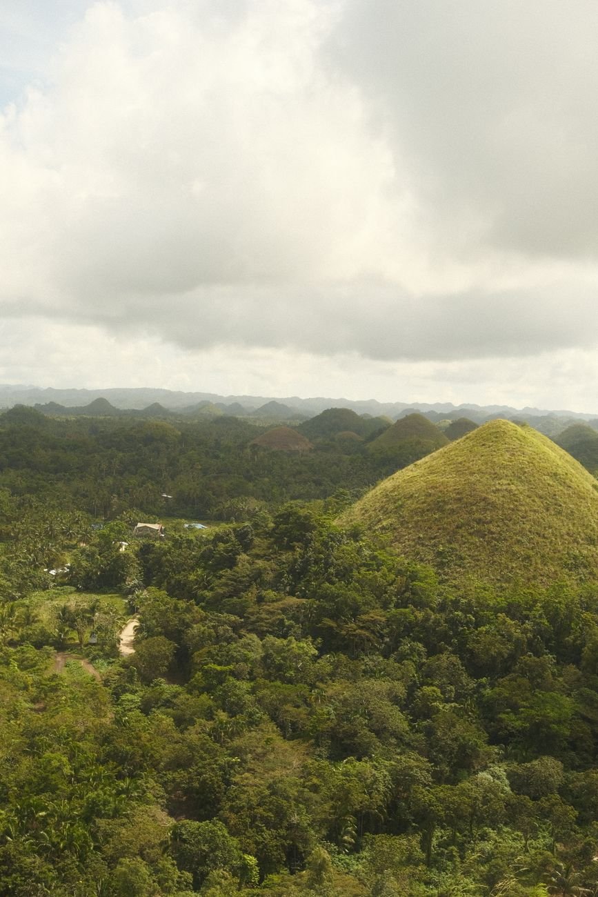 Cone-shaped grass-covered hills stretching to the horizon under a clear sky.