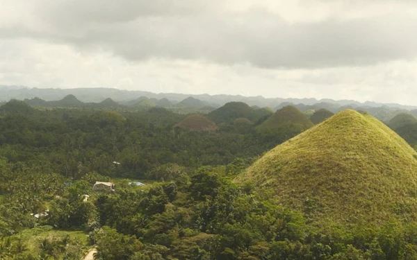 Cone-shaped grass-covered hills stretching to the horizon under a clear sky.