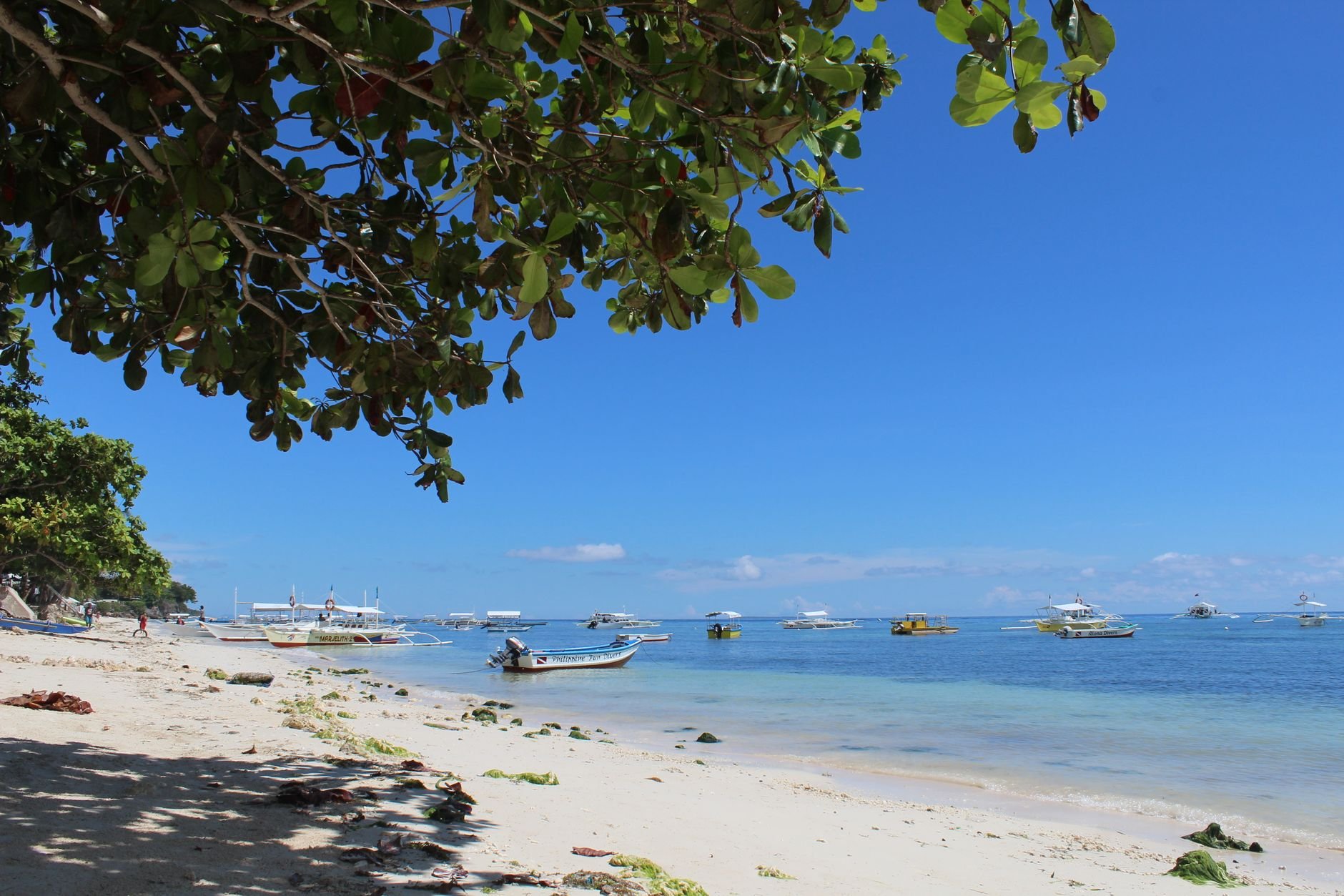 A white sand beach shaded by a tree, with small outrigger boats anchored in calm blue water.
