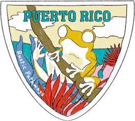 Illustrated Puerto Rico sticker: a coqui tree frog on a branch with red flowers.