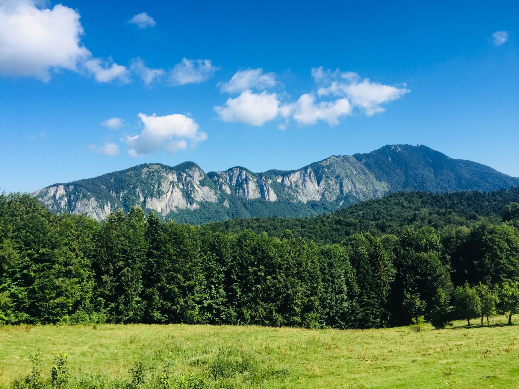 A green mountain ridge lined with pine forest rises beneath a bright blue sky scattered with clouds.