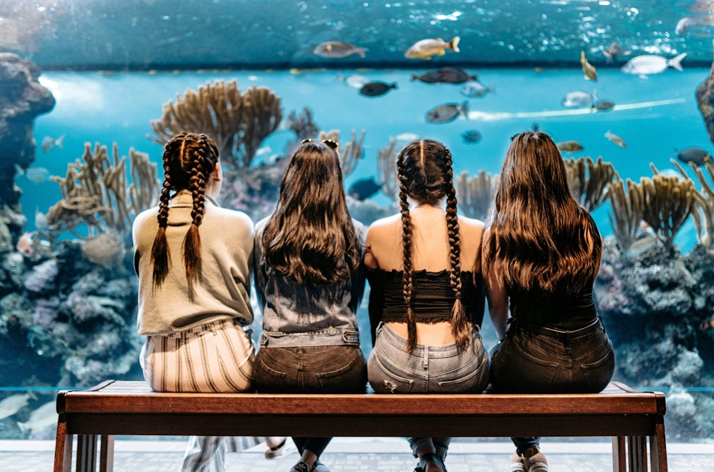 four girls sit in front of a fish tank at an aquarium.