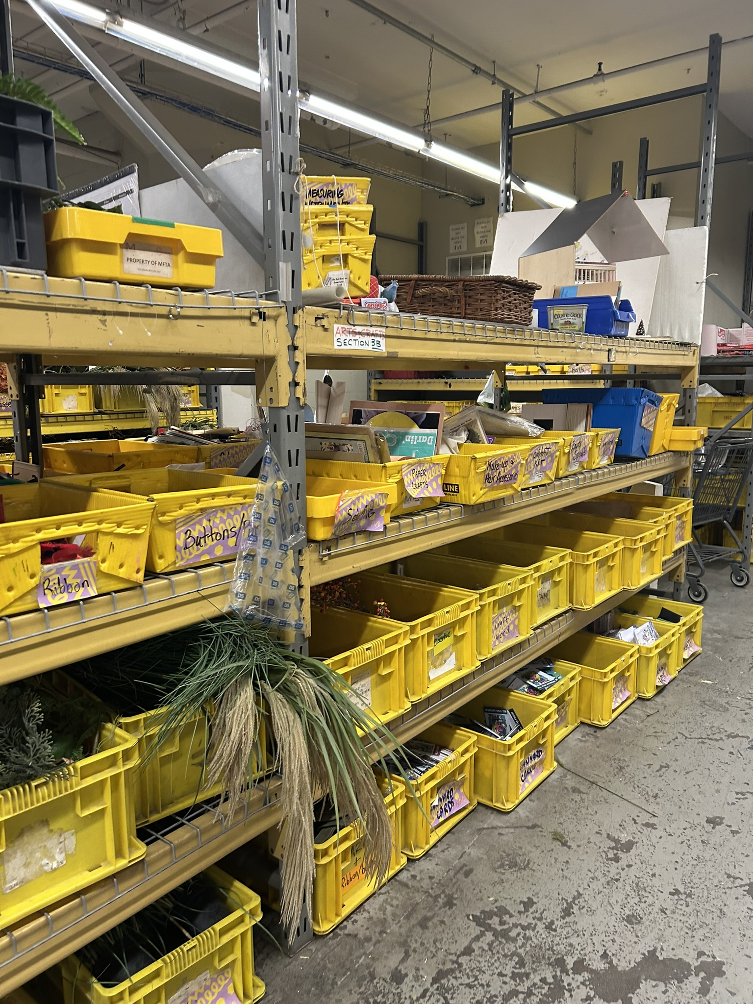 Selena Huang and Amanda He - Crafting a More Sustainable Community - Image 2