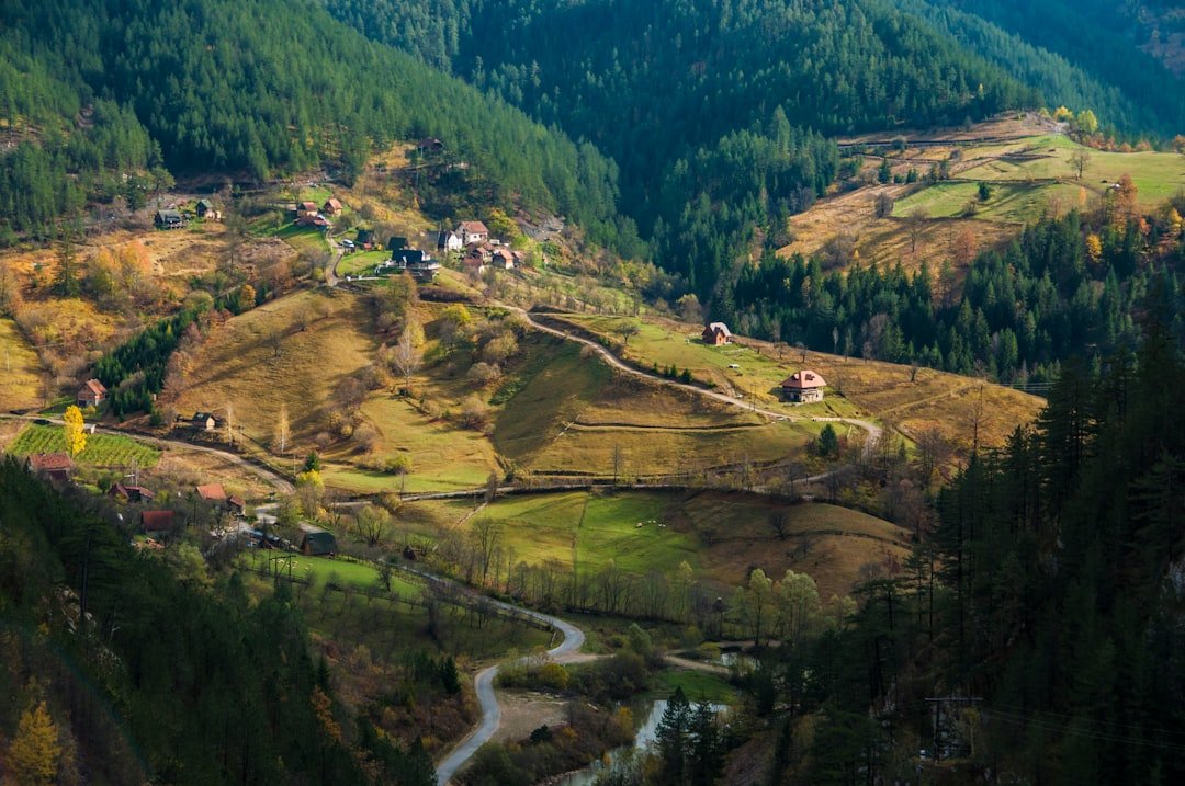 A wooded valley in western Serbia, with scattered hamlets, cleared pasture, and a river running along the valley floor.