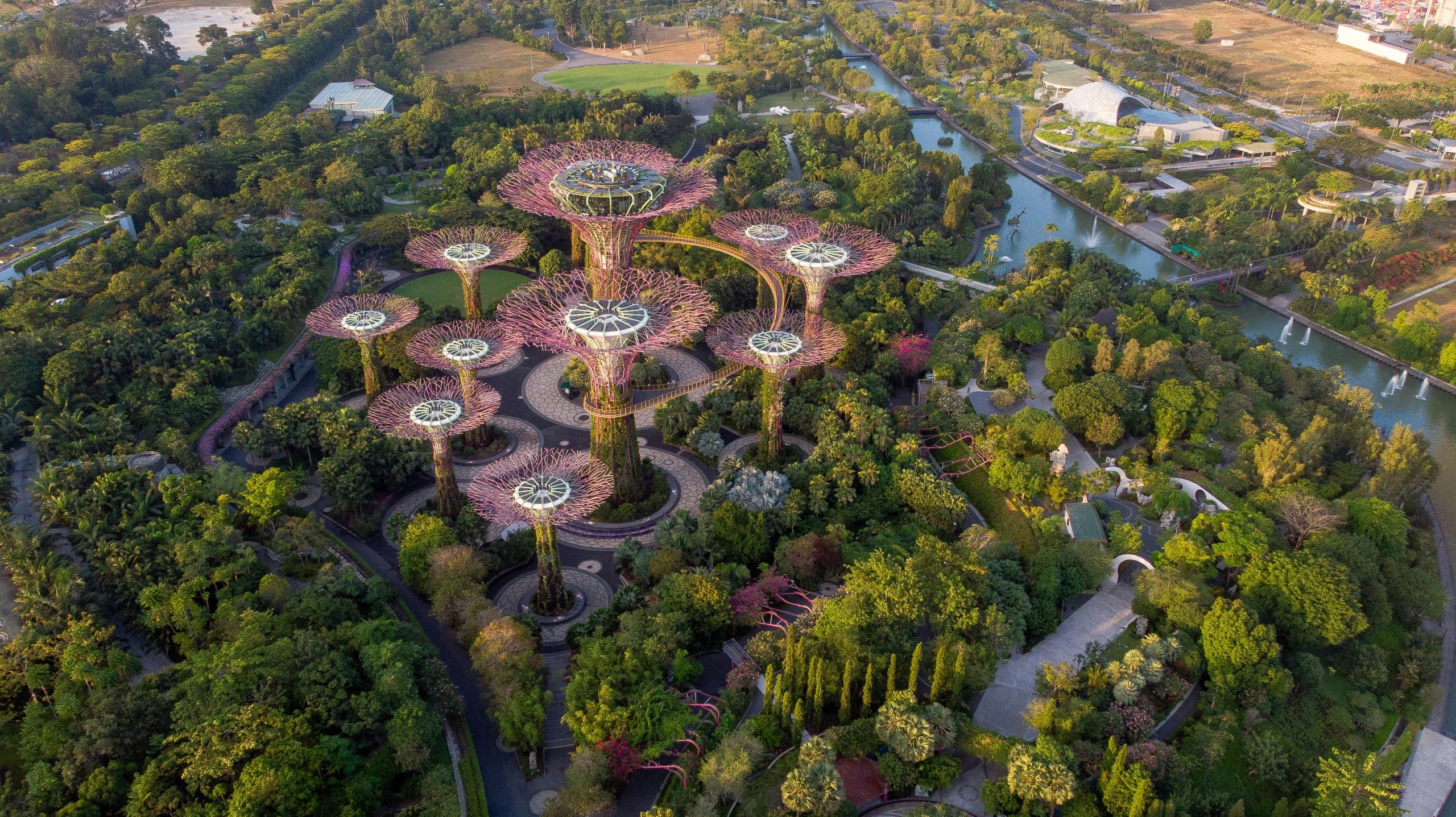 Supertree Grove at Gardens by the Bay, Singapore, with towering tree-like structures surrounded by lush greenery.