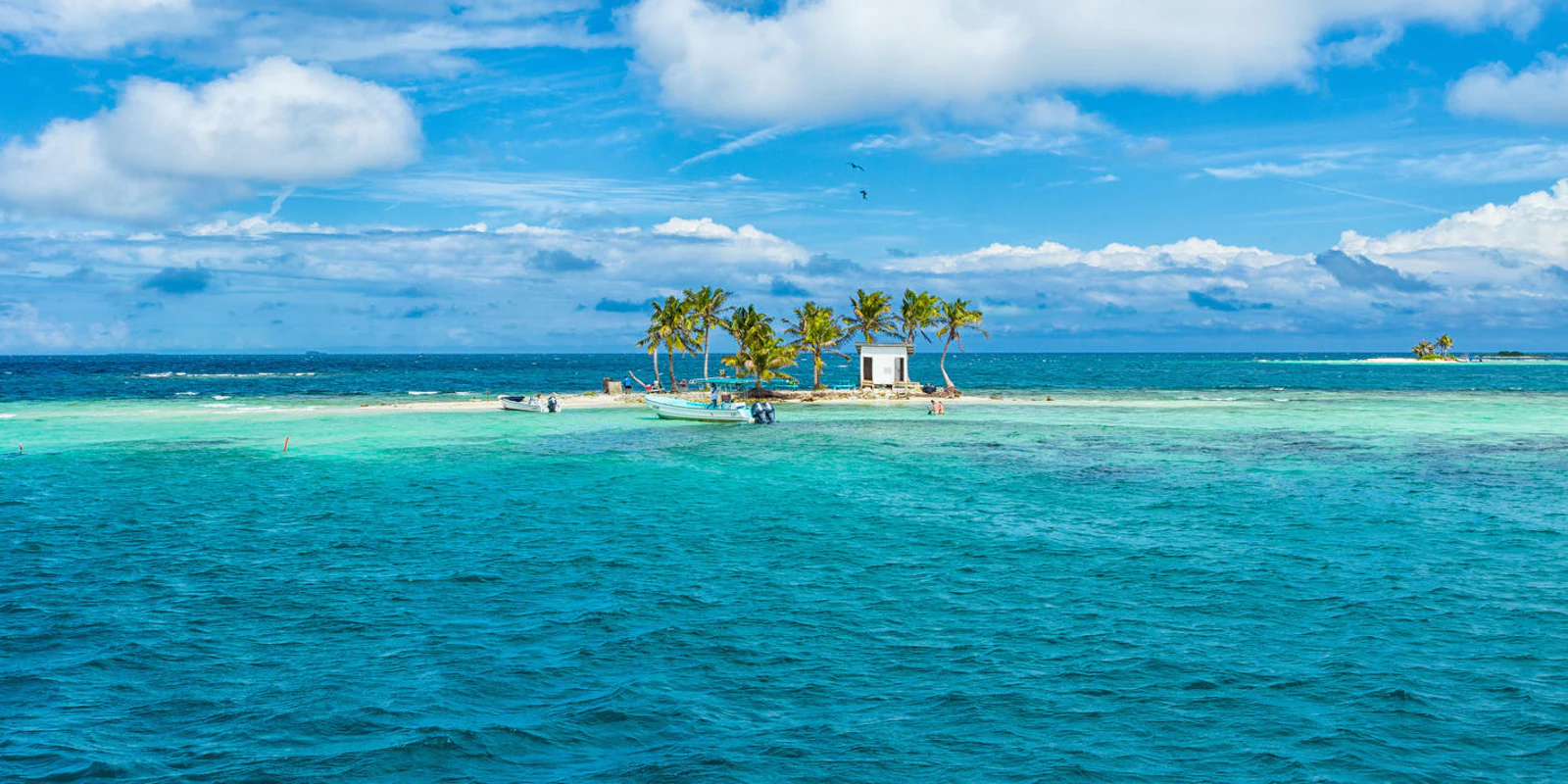 A small palm-covered island rises from turquoise water off the Belize coast