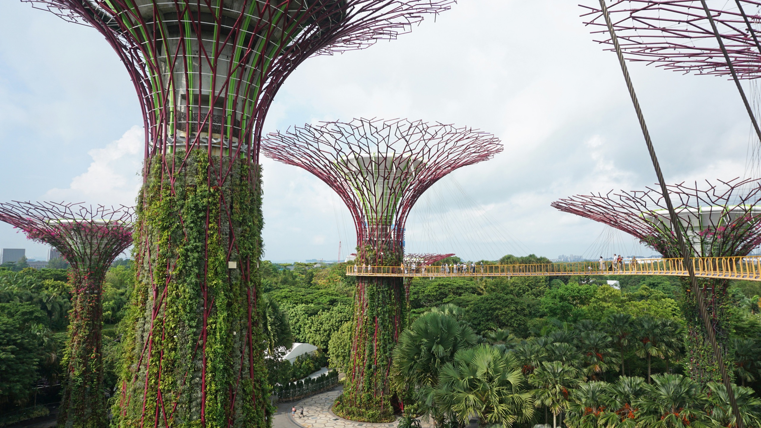 Three tall steel supertrees planted with climbing greenery rise above palm canopy at Gardens by the Bay, a yellow walkway linking two of them with visitors crossing it.
