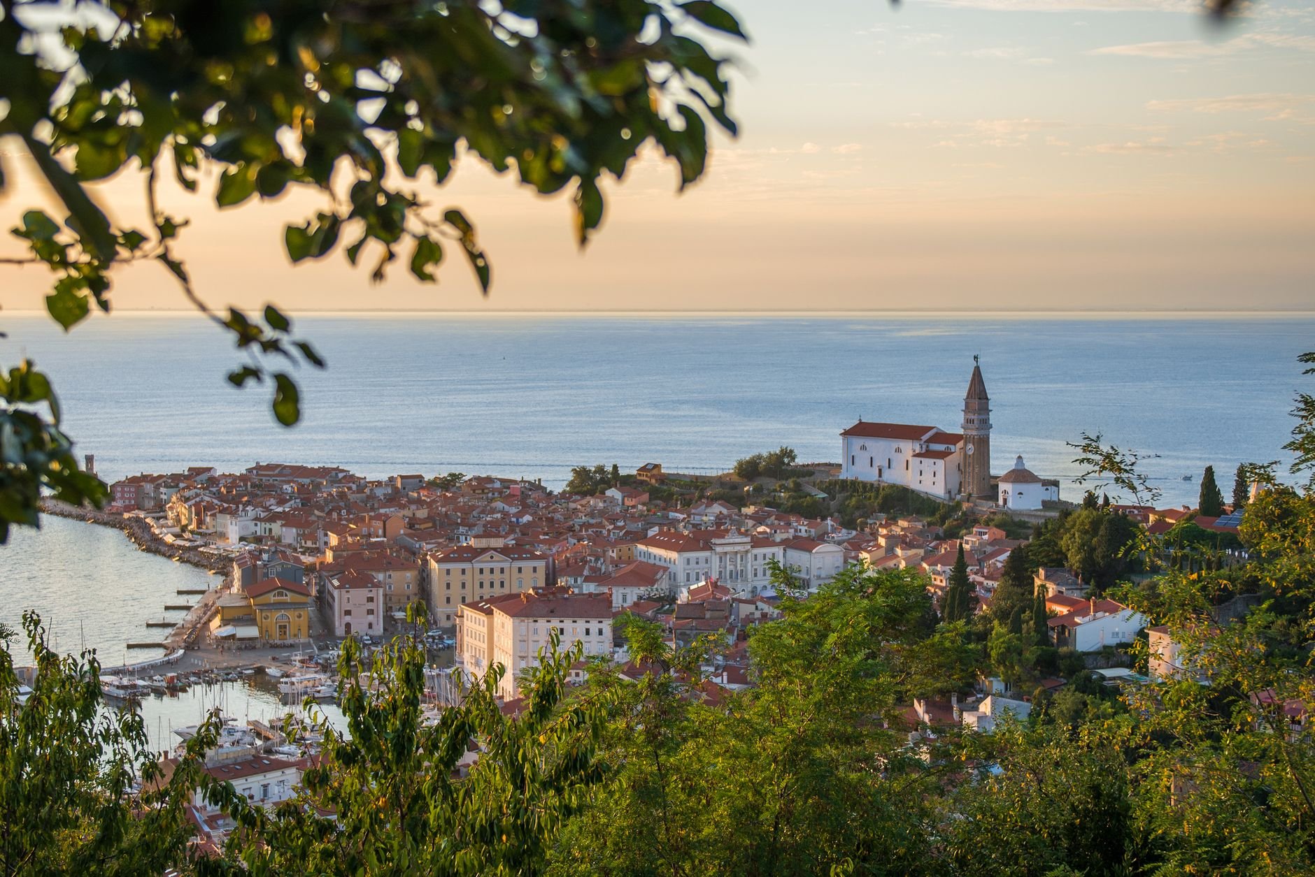 An aerial view of a coastal old town's terracotta rooftops and narrow streets.