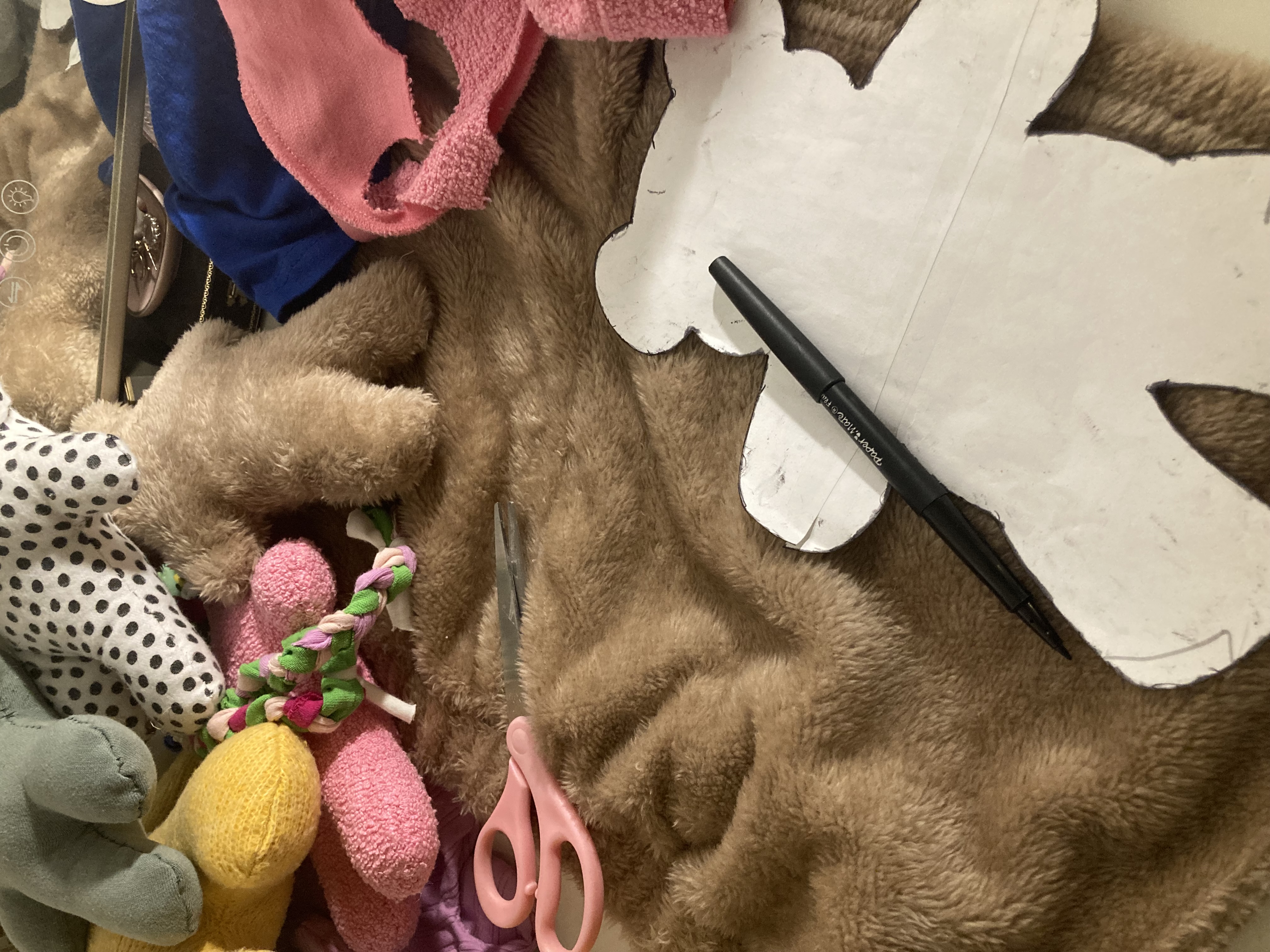 Sofia Emma Hernandez - Earth's Little Hugs - Finding the Hug from Within - Image 4