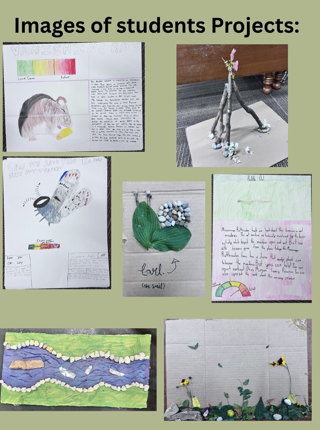 Sophia Paul, Designing a Summer Camp for CLF, image 1