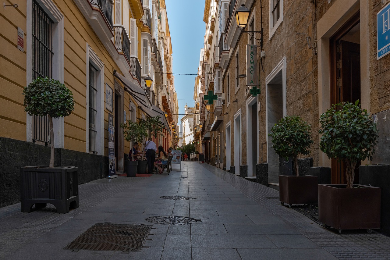Potted trees line a narrow cobblestone street between tall Spanish buildings