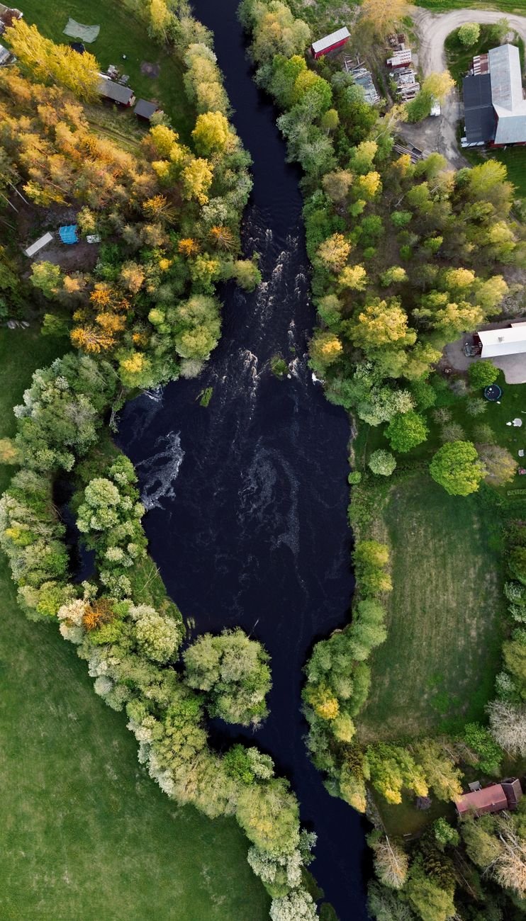 An aerial view of a river winding through forest.