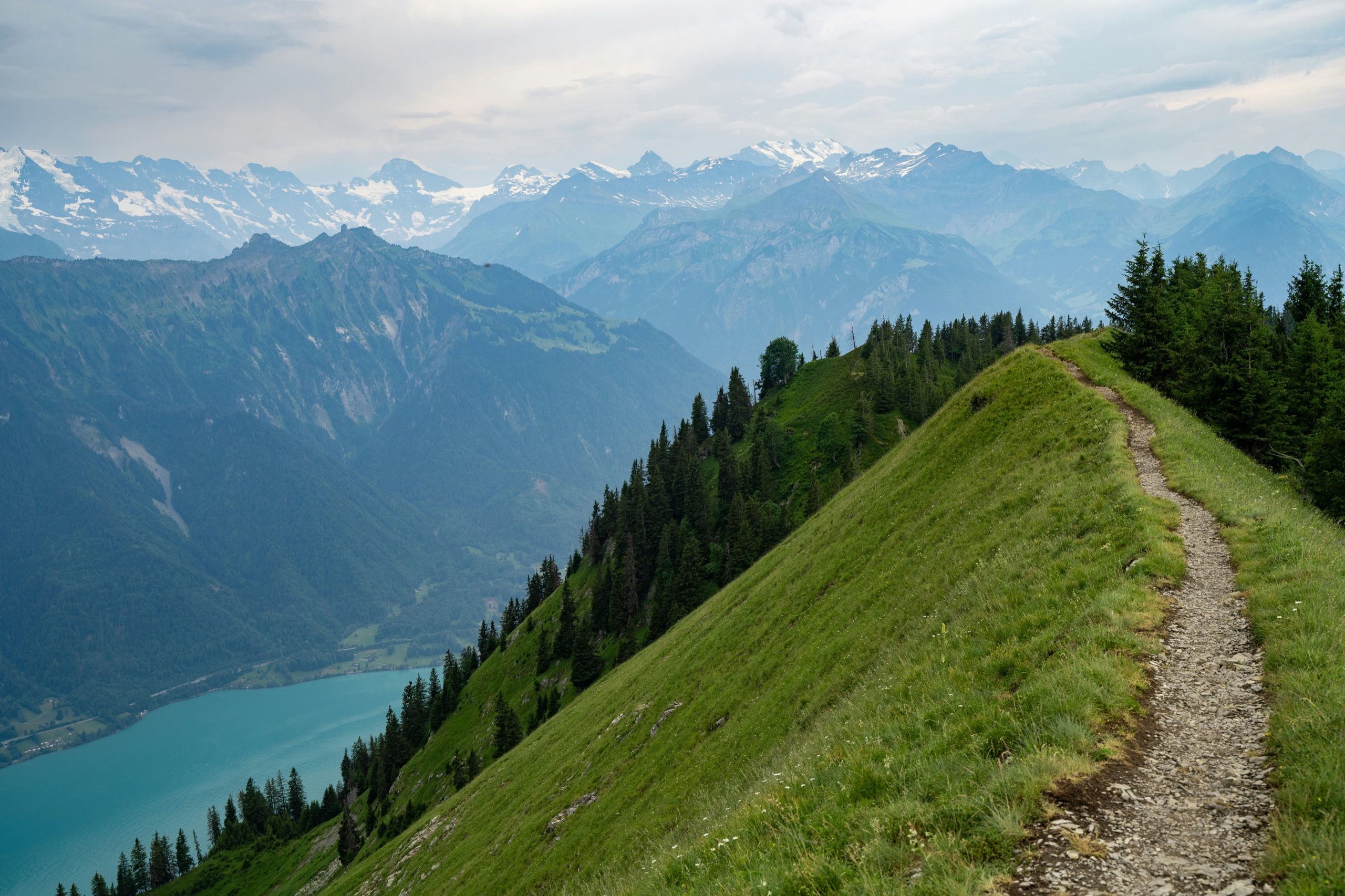A narrow footpath runs along a steep grass ridge high above a turquoise lake, with a line of snow-capped peaks on the horizon.