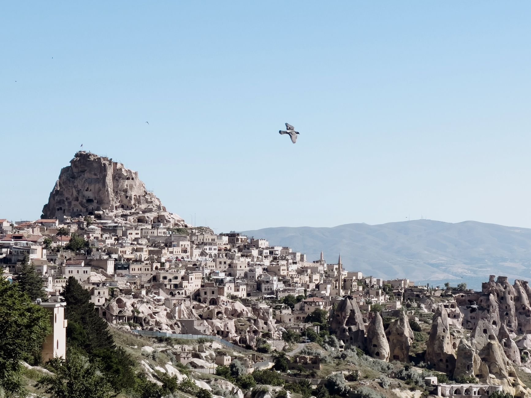 A bird flying over a valley town built into pale rock formations.