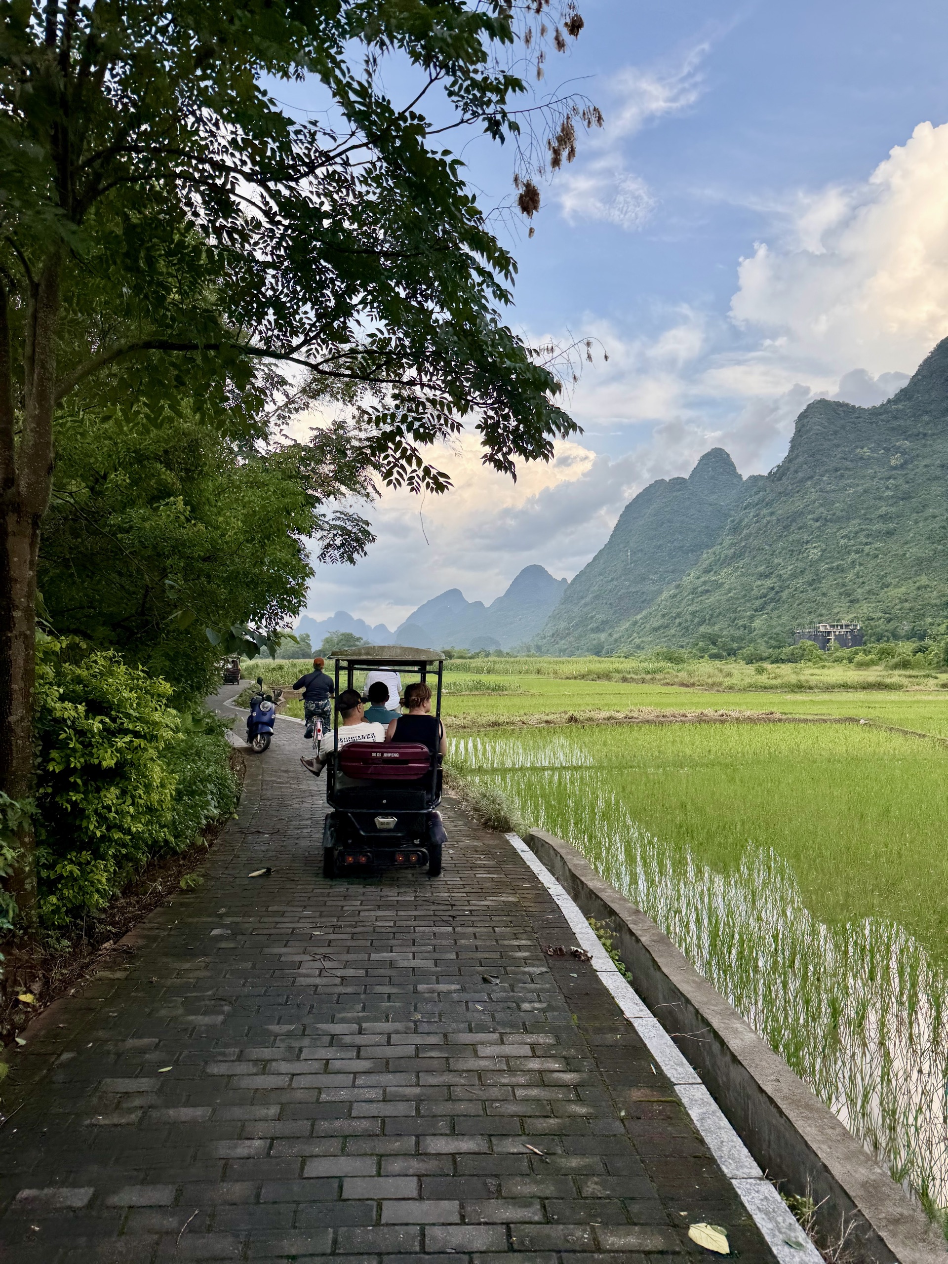 A path running beside flooded rice paddies with limestone karst peaks behind, in the Yangshuo countryside, China