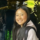 Yani Ma Zhang