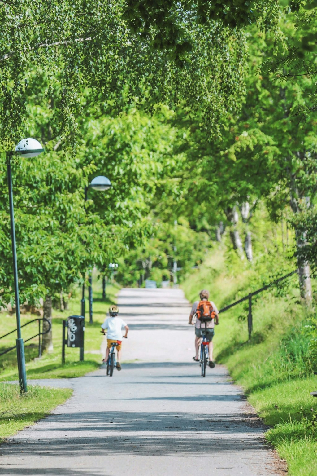 Two people are biking along the park passing green trees.