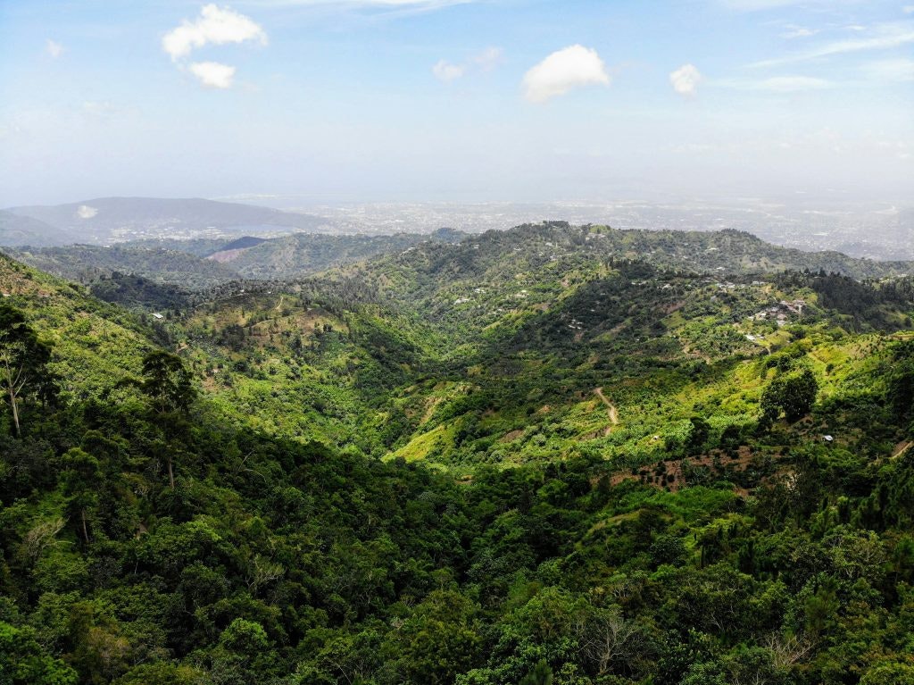 Panoramic view of lush green mountains and valleys in the Blue Mountain region of Jamaica under a clear sky.
