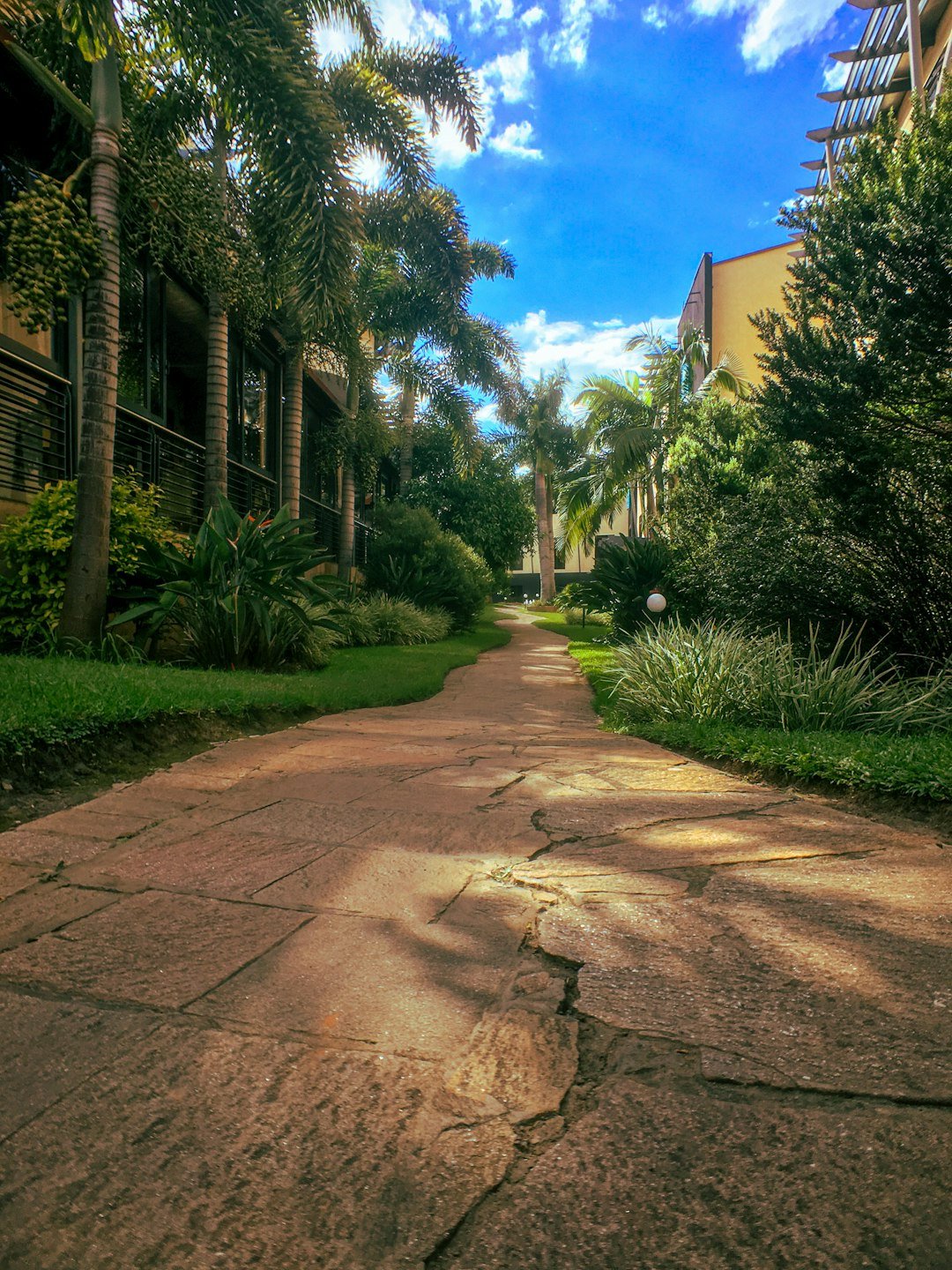 A stone garden path between palm trees leading toward a hotel building under a blue sky.