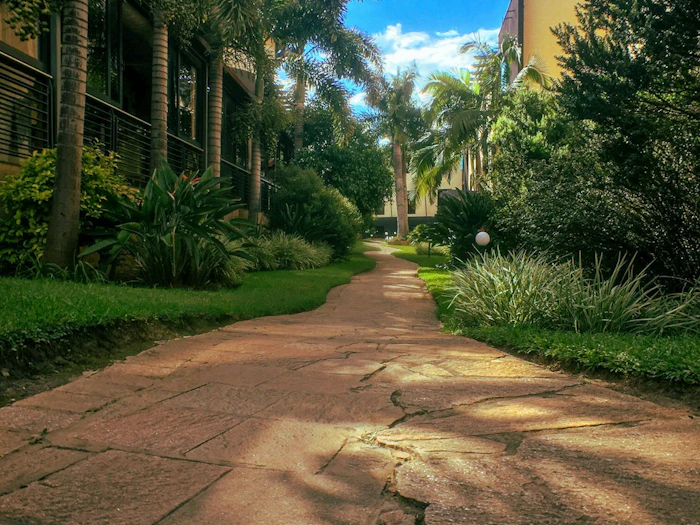 A stone garden path between palm trees leading toward a hotel building under a blue sky.